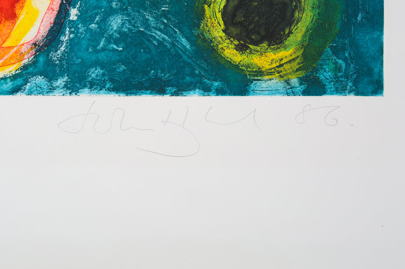 JOHN HOYLAND 'QUAS' LIMITED EDITION ETCHING PRINT 38/40, SIGNED