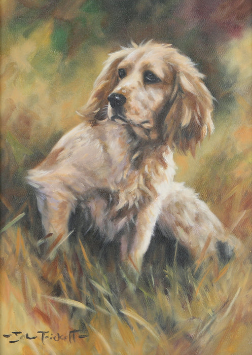 JOHN TRICKETT - SPRINGER SPANIEL DOG STUDY, ORIGINAL OIL PAINTING, SIGNED