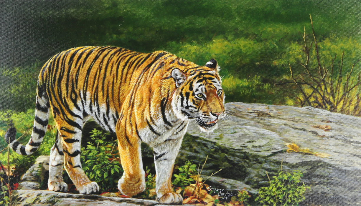 STEPHEN GAYFORD, 'JUNGLE APPARITION', STUDY, ORIGINAL ACRYLIC PAINTING, SIGNED