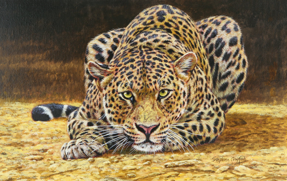 STEPHEN GAYFORD, 'AMBUSH!', LEOPARD STUDY, ORIGINAL ACRYLIC PAINTING, SIGNED