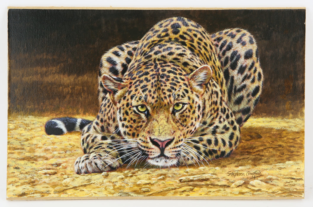 STEPHEN GAYFORD, 'AMBUSH!', LEOPARD STUDY, ORIGINAL ACRYLIC PAINTING, SIGNED