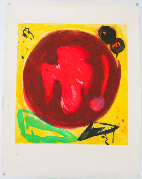 JOHN HOYLAND 'MIRAGE' LIMITED EDITION ETCHING PRINT 36/44, SIGNED