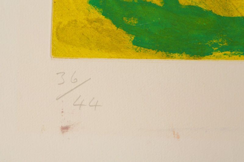 JOHN HOYLAND 'MIRAGE' LIMITED EDITION ETCHING PRINT 36/44, SIGNED