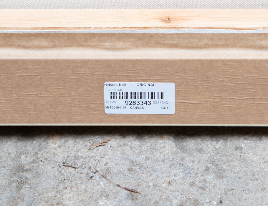 NEIL NELSON, 'SUBLIMINUS', ABSTRACT LANDSCAPE, ORIGINAL OIL PAINTING, SIGNED