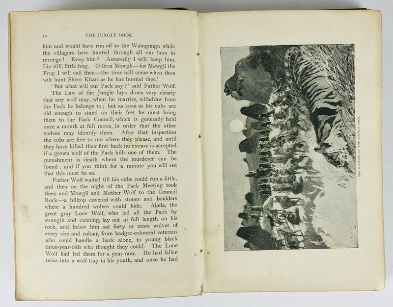 RUDYARD KIPLING -THE JUNGLE BOOK &amp; SECOND JUNGLE BOOK- FIRST EDITION MACMILLAN &amp; Co. 1894