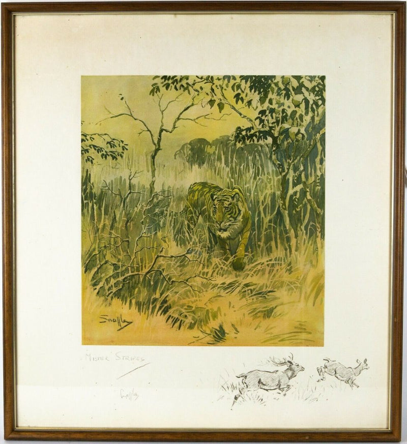 SNAFFLES, CHARLES JOHNSON PAYNE -MISTER STRIPES- TIGER COLOUR PRINT, SIGNED