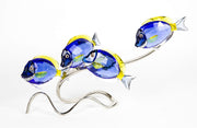 Swarovski Paradise Fish