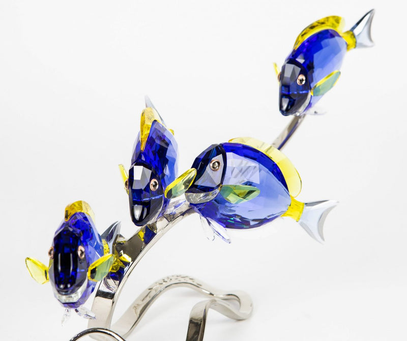 SWAROVSKI 'PARADISE FISH' FIGURE MODEL 1034023 -BOXED-