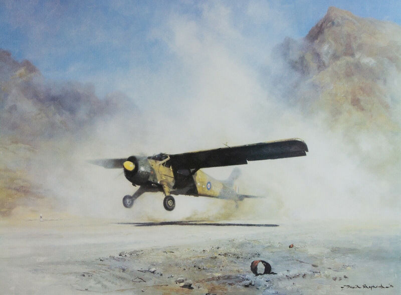 DAVID SHEPHERD -653 SQD BEAVER, DHALA, RADFAN- LIMITED EDITION PRINT, SIGNED
