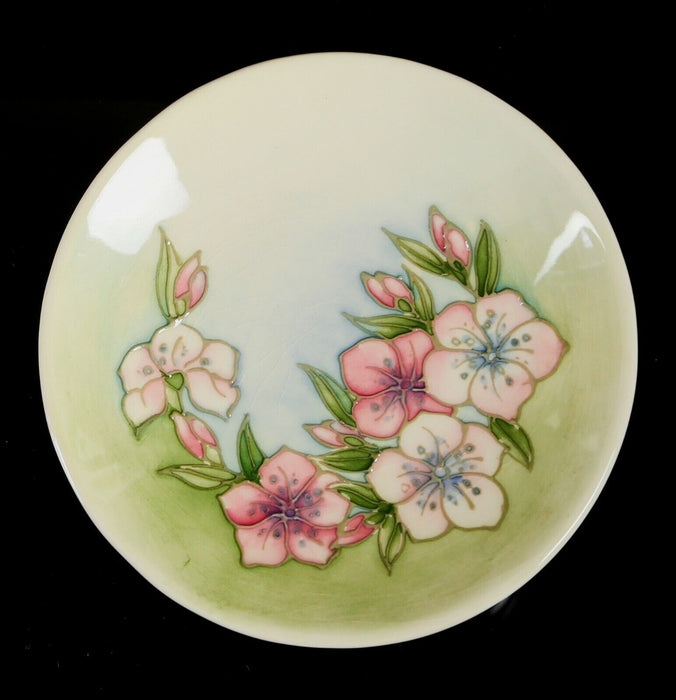 MOORCROFT POTTERY 'TEMPTATION' FLORAL FLOWER PIN DISH PLATE, 12cm