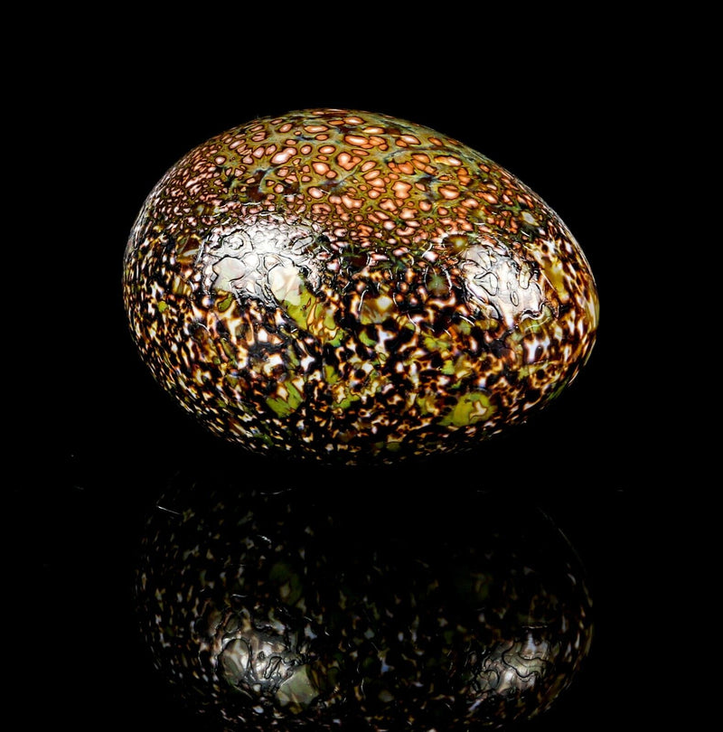 OIVA TOIKKA for IITTALA - SCANDINAVIAN STUDIO ART GLASS DESIGN BIRD EGG, 8cm