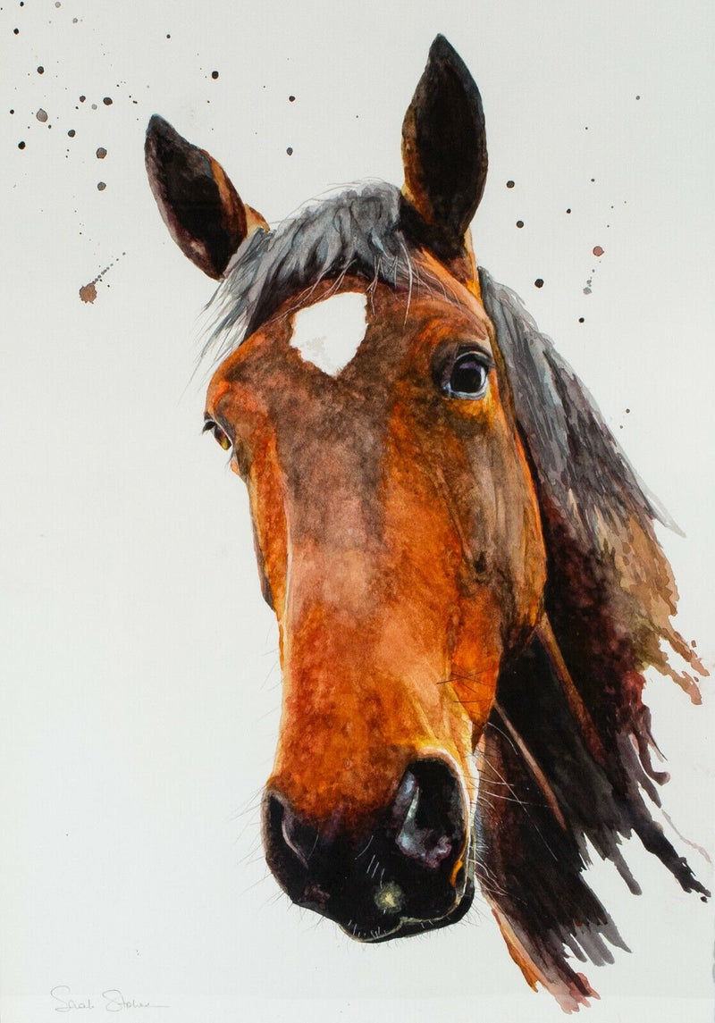 SARAH STOKES 'ENDEARING EYES' HORSE, LARGE ORIGINAL WATERCOLOUR PAINTING, SIGNED