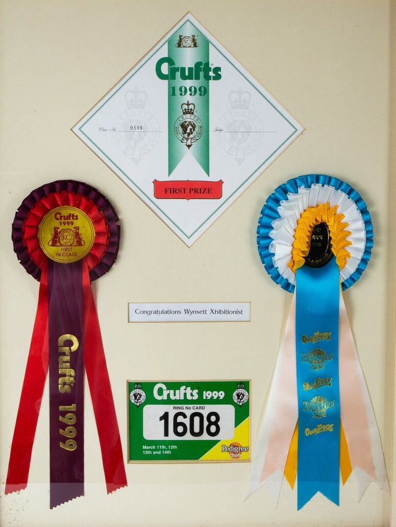 CRUFTS 'WYNSETT XHIBITIONIST' TOP PUPPY 1998 & FIRST IN CLASS 1999 ROSETTE AWARD