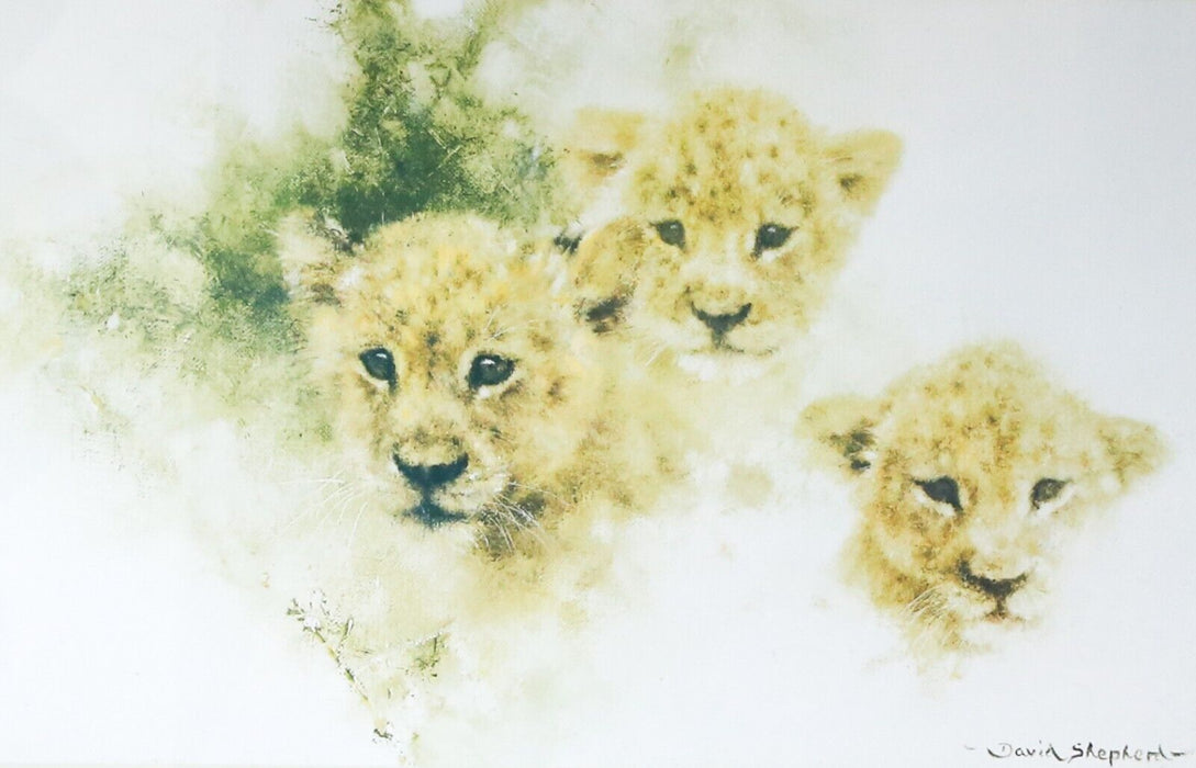 DAVID SHEPHERD 'LION CUBS' LIMITED EDITION PRINT 417/850, SIGNED