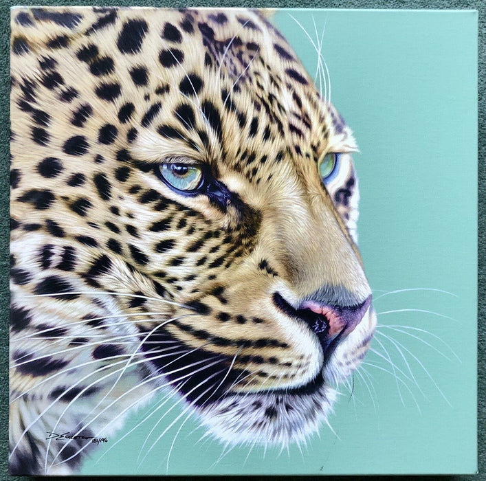 DARRYN EGGLETON 'GAME FACE' LEOPARD CHEETAH LIMITED EDITION PRINT SIGNED 131/195