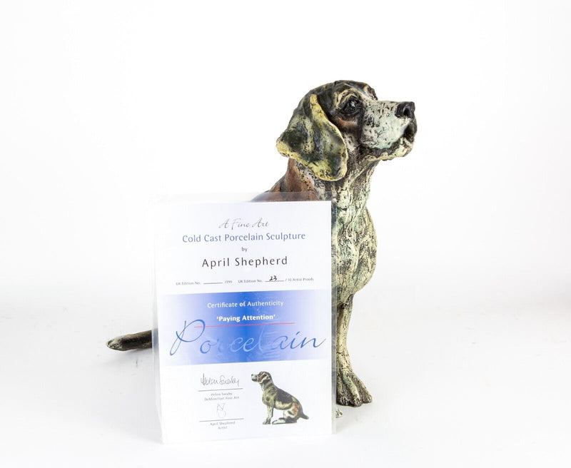APRIL SHEPHERD 'PAYING ATTENTION' LIMITED EDITION BEAGLE DOG SCULPTURE 8/30 C.O.A.