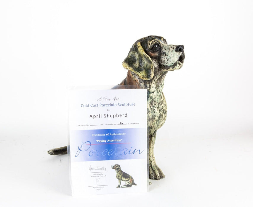 APRIL SHEPHERD 'PAYING ATTENTION' LIMITED EDITION BEAGLE DOG SCULPTURE 23/30 C.O.A.