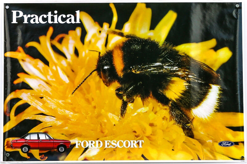 FORD ESCORT - ORIGINAL DEALER SHOWROOM CAR SALES ADVERTISING POSTER FA356 88