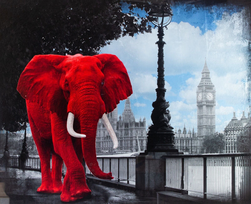 LARS TUNEBO 'WESTMINSTER WANDERER' ELEPHANT LONDON, LIMITED EDITION PRINT & C.O.A.
