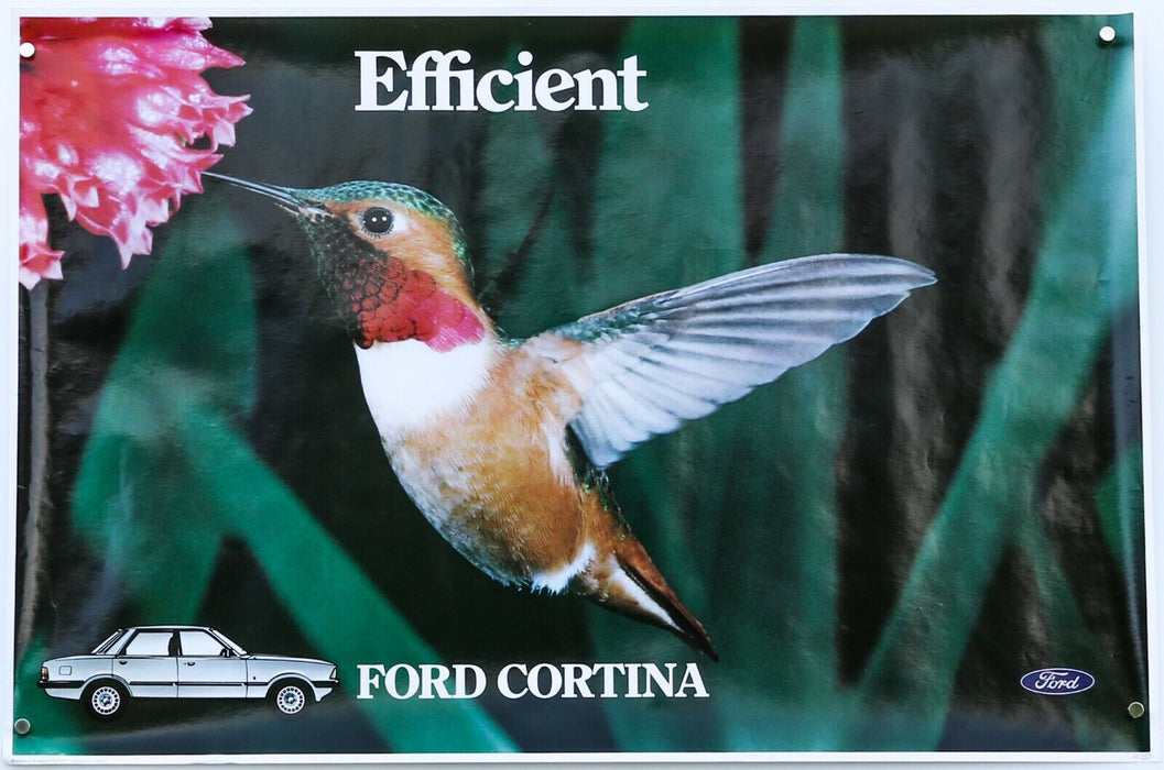 FORD CORTINA - ORIGINAL DEALER SHOWROOM CAR SALES ADVERTISING POSTER FA357 91