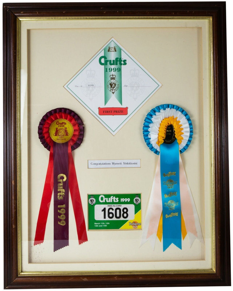 CRUFTS 'WYNSETT XHIBITIONIST' TOP PUPPY 1998 & FIRST IN CLASS 1999 ROSETTE AWARD