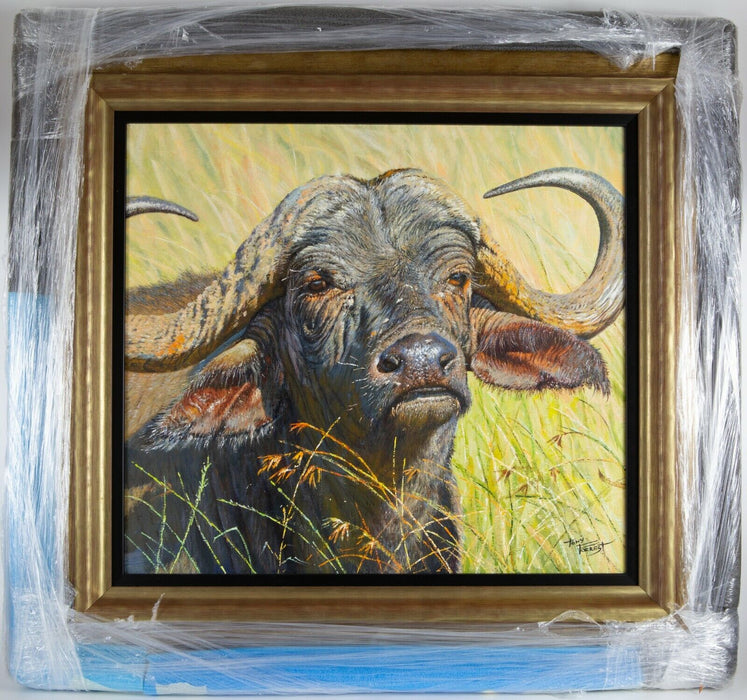§ TONY FORREST 'CAPE BUFFALO' AFRICAN BISON STUDY, ORIGINAL OIL PAINTING, SIGNED