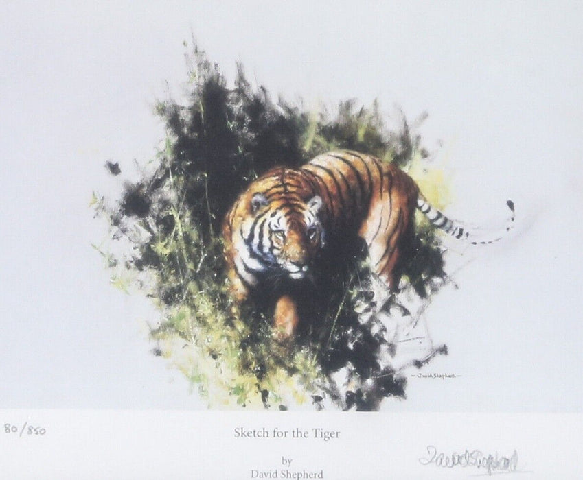 DAVID SHEPHERD 'SKETCH FOR THE TIGER' LIMITED EDITION PRINT, SIGNED