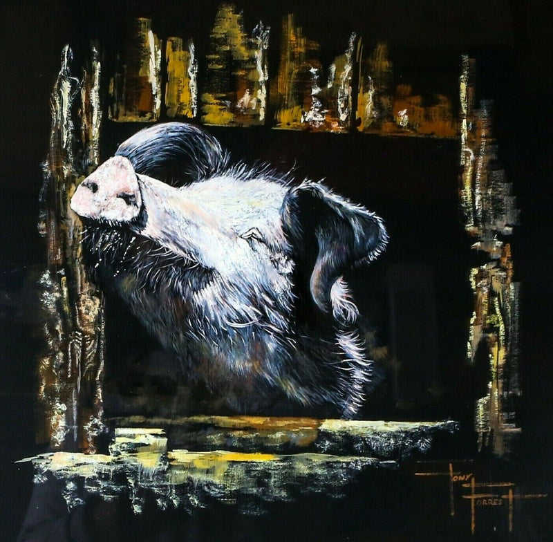 TONY FORREST (b.1961), PIG ANIMAL STUDY, ORIGINAL GOUACHE PAINTING, SIGNED