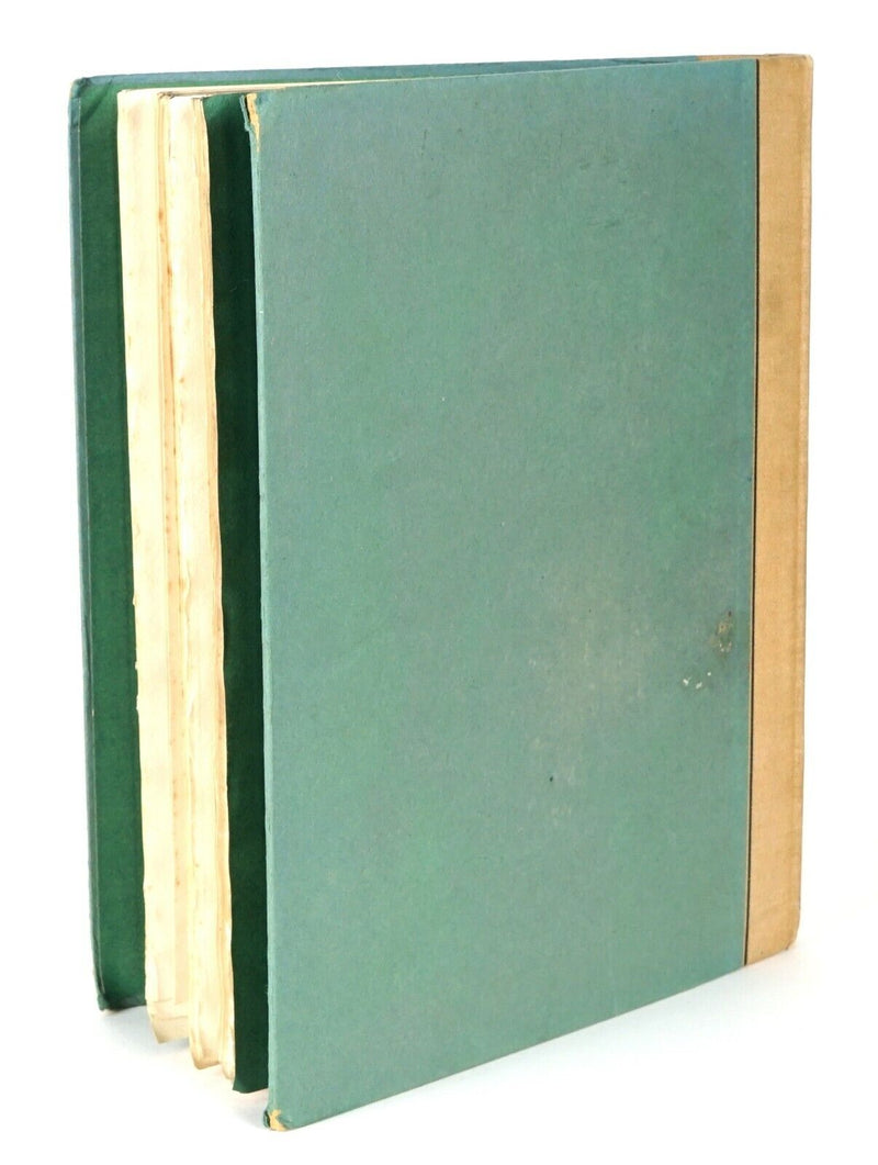 CS EVANS 'CINDERELLA' 1919 HEINEMAN, LIMITED EDITION, ILLUSTRATED ARTHUR RACKHAM, SIGNED