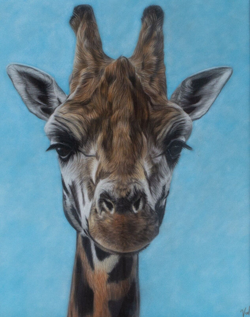 VALERIE SIMMS, GIRAFFE, ANIMAL STUDY, ORIGINAL PASTEL, SIGNED