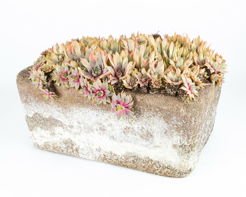 RECONSTITUTED STONE RECTANGULAR PLANTER URN TROUGH VASE GARDEN ORNAMENT