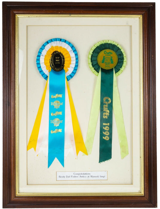 CRUFTS 'BRODY DAL PODERE' TOP SIRE 1998 & BEST DOG 1999 ROSETTE AWARDS