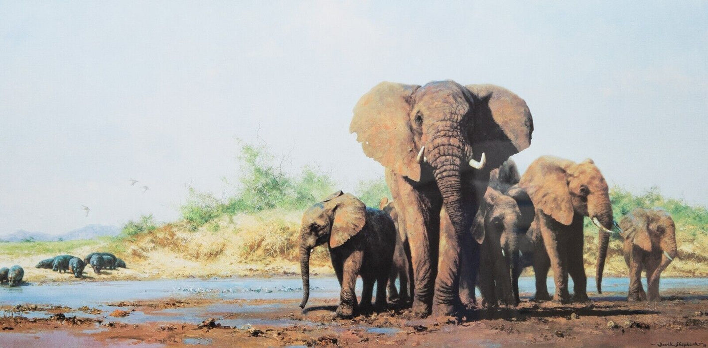DAVID SHEPHERD, 'EVENING IN AFRICA' LIMITED EDITION WILD ELEPHANTS PRINT, SIGNED