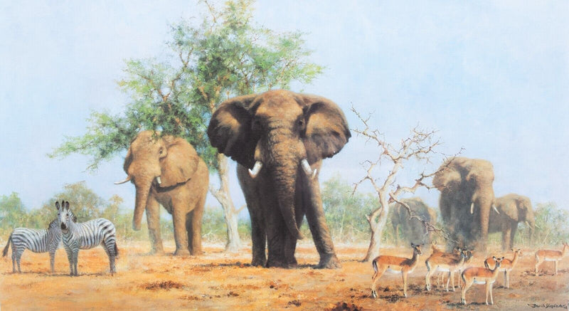DAVID SHEPHERD, 'AN AFRICAN LANDSCAPE', LIMITED EDITION ELEPHANTS PRINT, SIGNED
