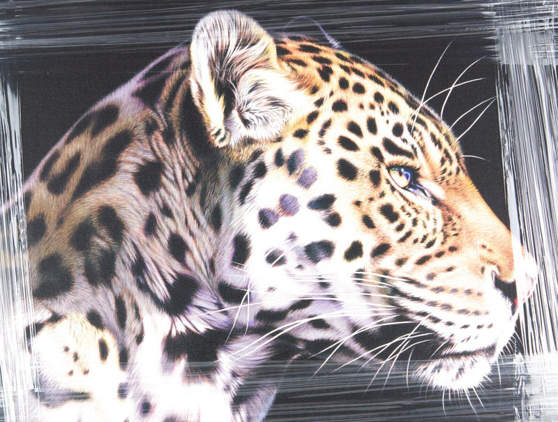 DARRYN EGGLETON, 'THE WILD SIDE I', LEOPARD CHEETAH LIMITED EDITION PRINT & COA